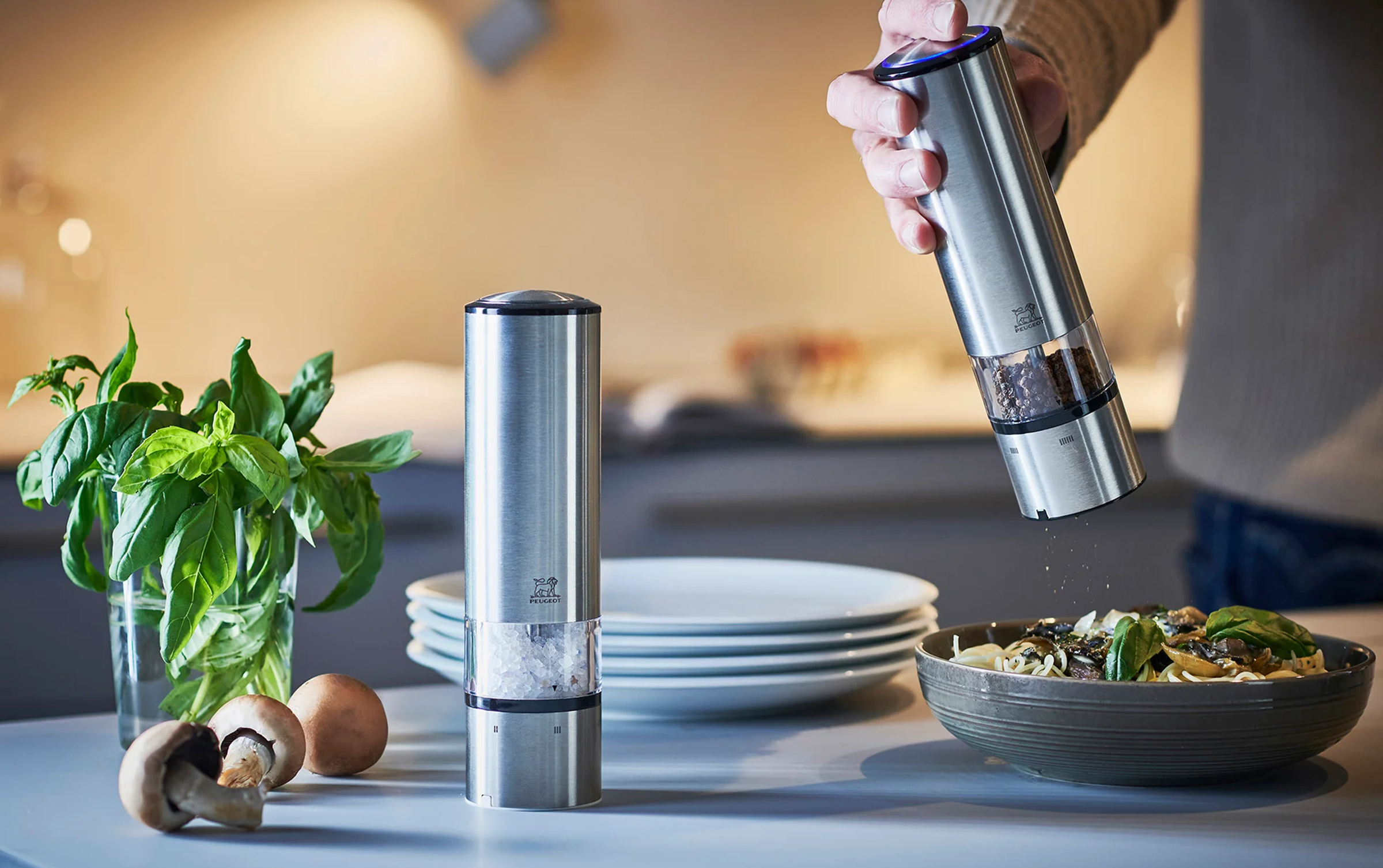 Peugeot Electric Mills